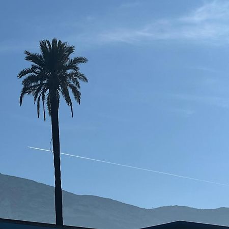 Rocasol Denia - Marina Real II Leilighet Eksteriør bilde